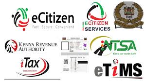 The Impact and Future of Digital Governance